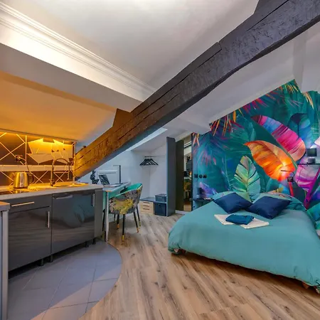 Luxe Appart'Hotel Le Roitelet - Tullins Hypercentre - Parking Gratuit Exterior photo