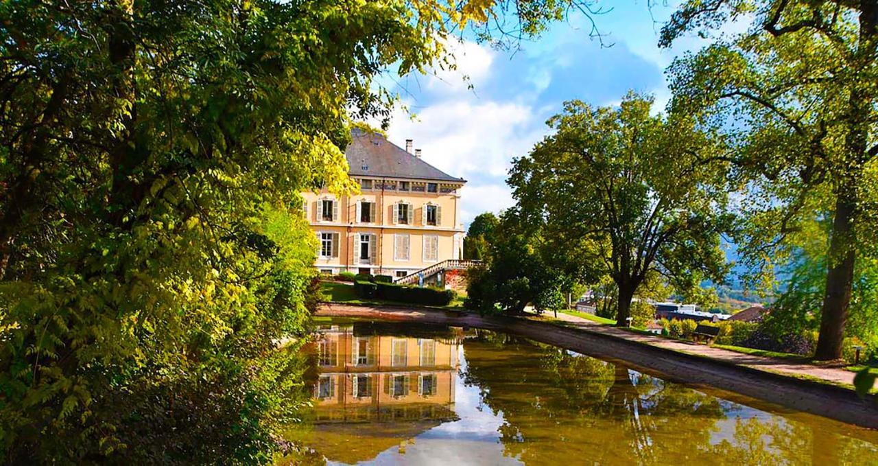 Luxe Appart'Hotel Le Roitelet - Tullins Hypercentre - Parking Gratuit