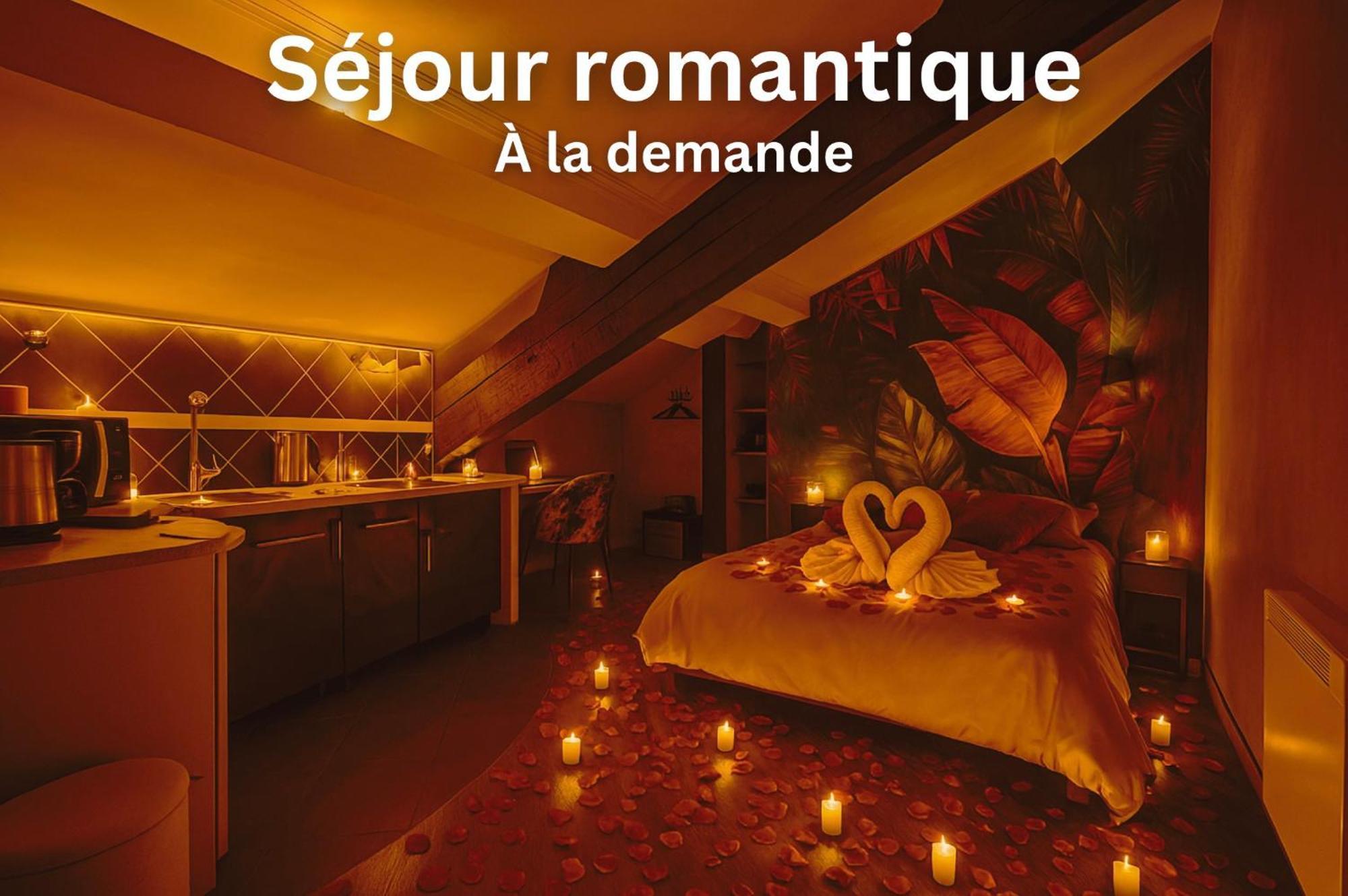 Apartment Luxe Appart'Hotel Le Roitelet - Tullins Hypercentre - Parking Gratuit Tullins